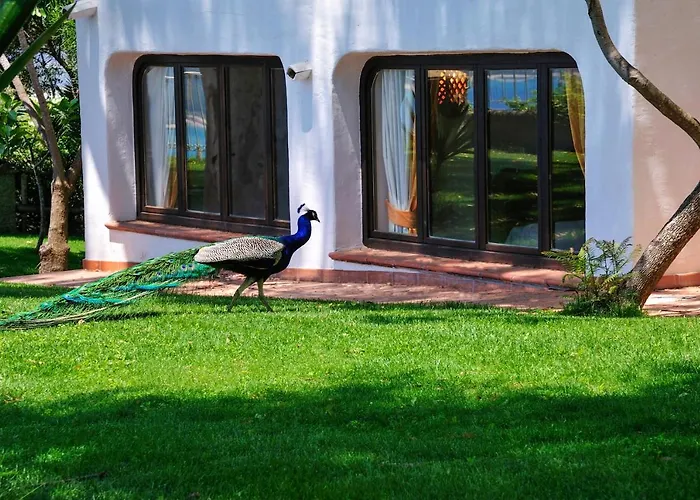 Park - Del Parco Арбатакс