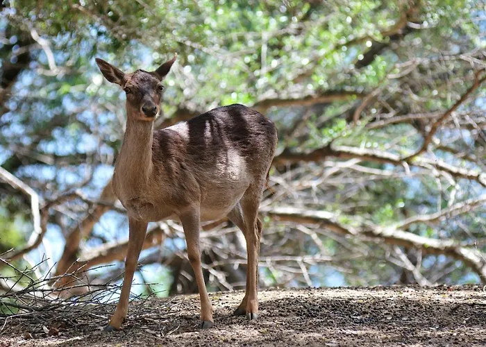 Park - Del Parco Курортный комплекс 4*